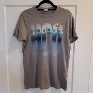 Hollister Gray Graphic T-shirt
